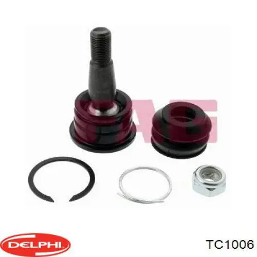 Sworzeń wahacza dolny Delphi TC1006 cena, od 13,69 USD