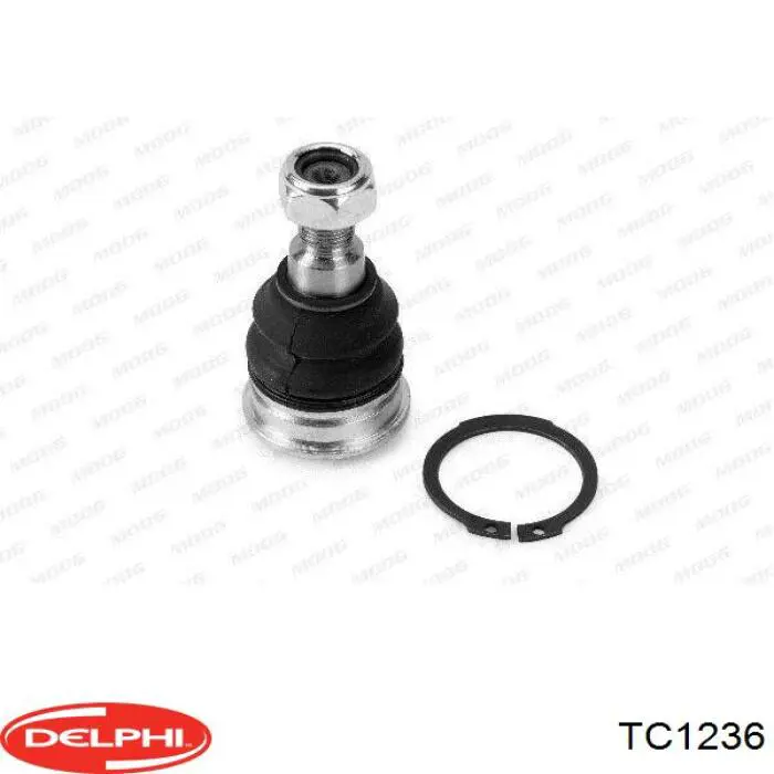 Sworzeń wahacza górny Delphi TC1236 cena, od 13,81 USD