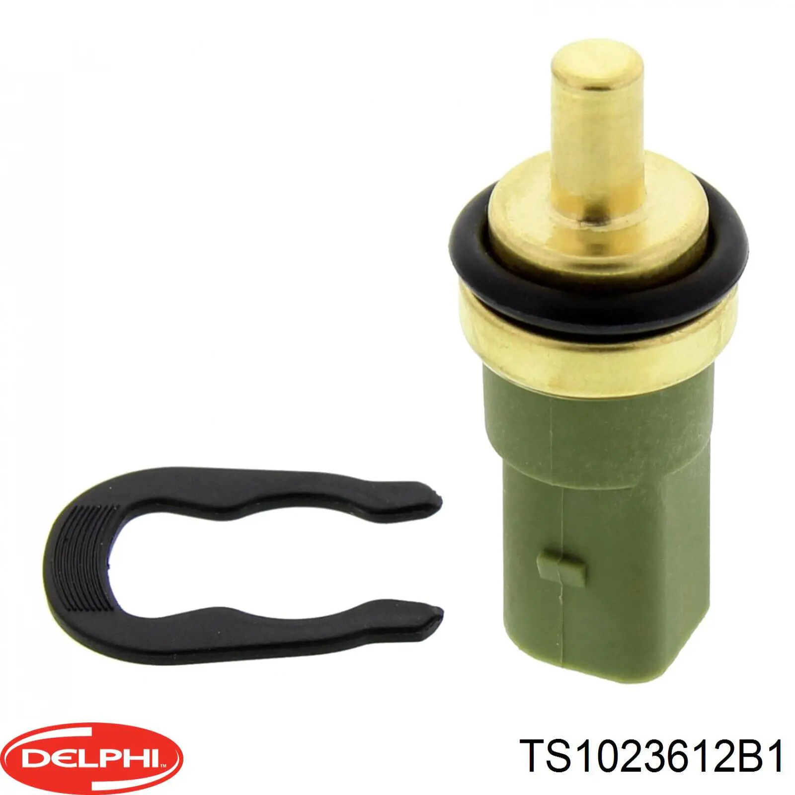 Do koszyka TS1023612B1 Delphi Czujnik temperatury płynu chłodzącego