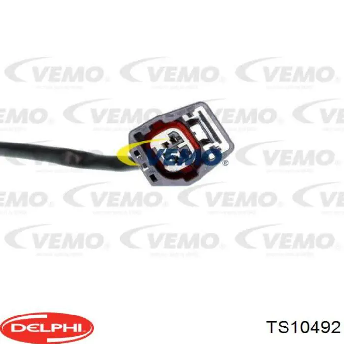 TS10492 Delphi Czujnik temperatury płynu chłodzącego