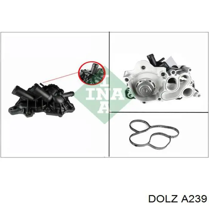 Pompa chłodząca wodna Dolz A239 cena, od 219,45 USD