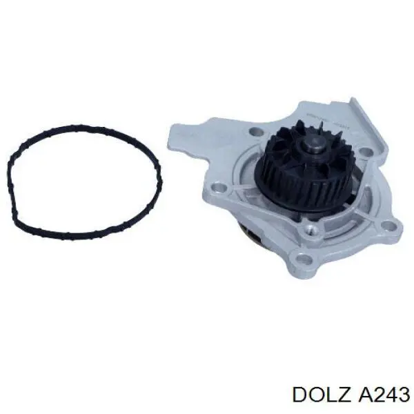 Pompa chłodząca wodna Dolz A243 cena, od 54,30 USD