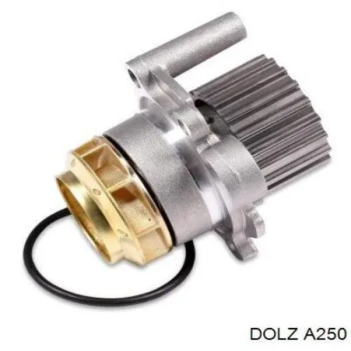 Pompa chłodząca wodna Dolz A250 cena, od 43,53 USD