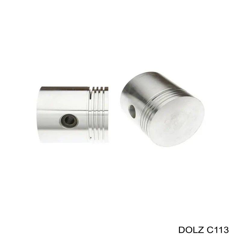 Do koszyka C113 Dolz Pompa chłodząca wodna