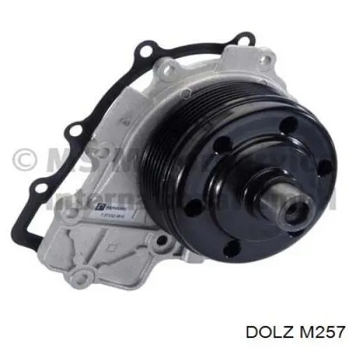Pompa chłodząca wodna Dolz M257 cena, od 104,48 USD