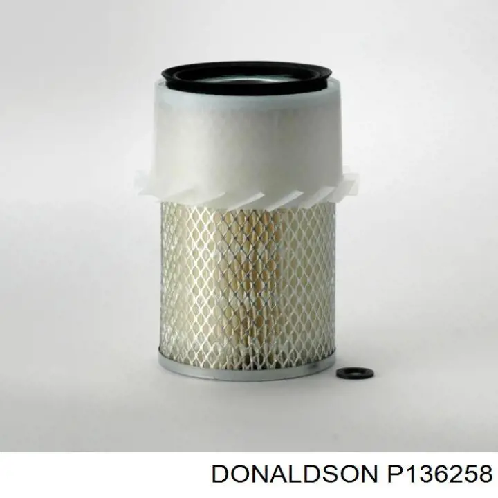 P136258 Donaldson Filtr powietrza