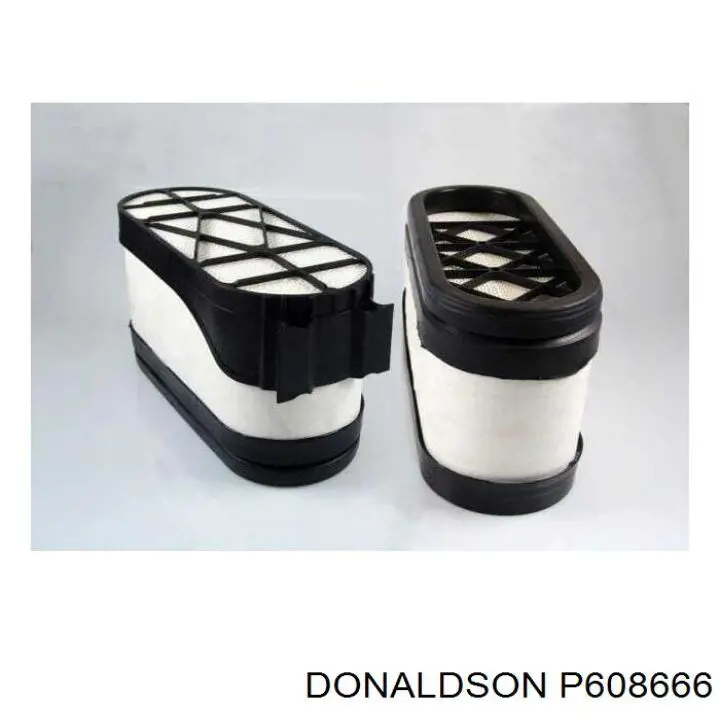Filtr powietrza Donaldson P608666 cena, od 132,64 USD