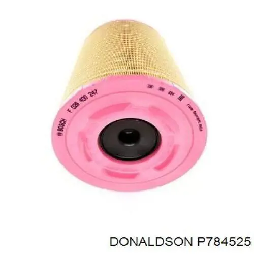 P784525 Donaldson Filtr powietrza