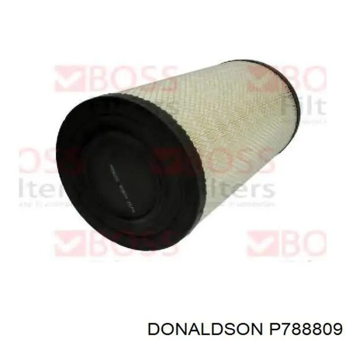 P788809 Donaldson Filtr powietrza