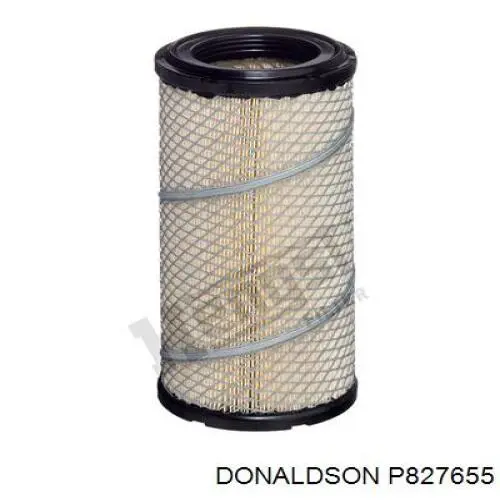 Filtr powietrza Donaldson P827655 cena, od 25,60 USD