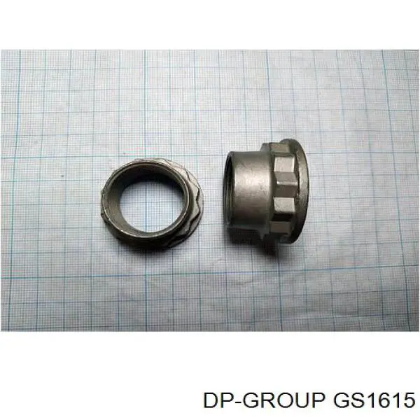 GS1615 DP Group Uszczelniacz końcówki reduktora mostu tylnego