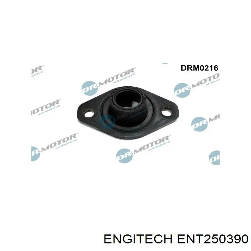 Uszczelka głowicy strumienicy ENT250390 Engitech