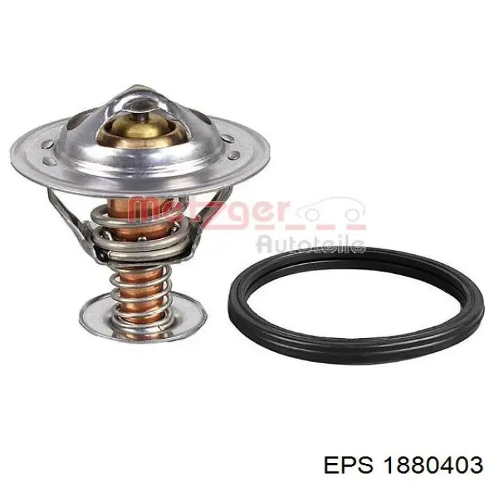 Termostat 135894RC Fitshi