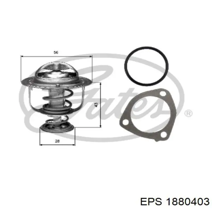 Do koszyka 135894RC Fitshi Termostat