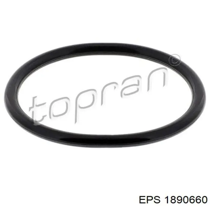 Do koszyka 1890660 EPS Uszczelka termostatu
