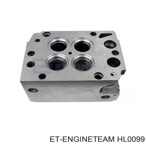 Głowica cylindrów MAN 51031016824 cena, od 505,02 USD