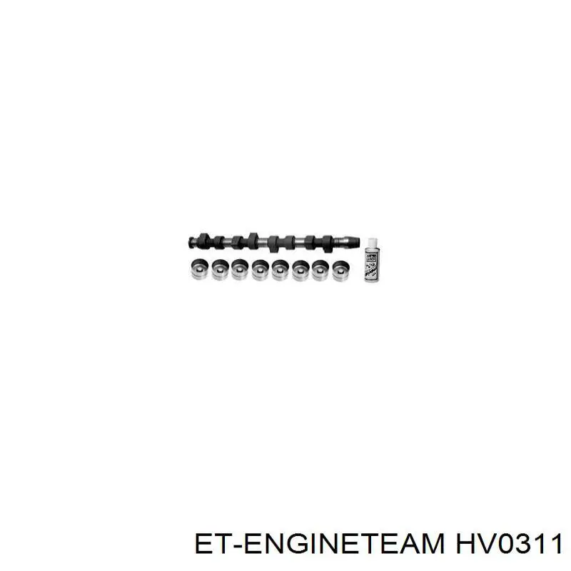 Wał rozrządu silnika VAG 06B109101Q