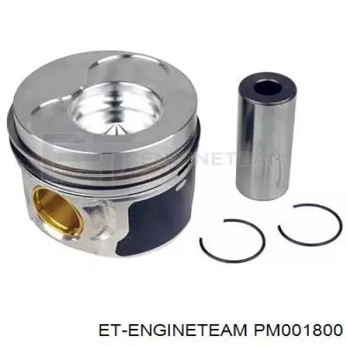 Tłok, komplet do jednego cylindru, STD VAG 038107065EN cena, od 128,29 USD