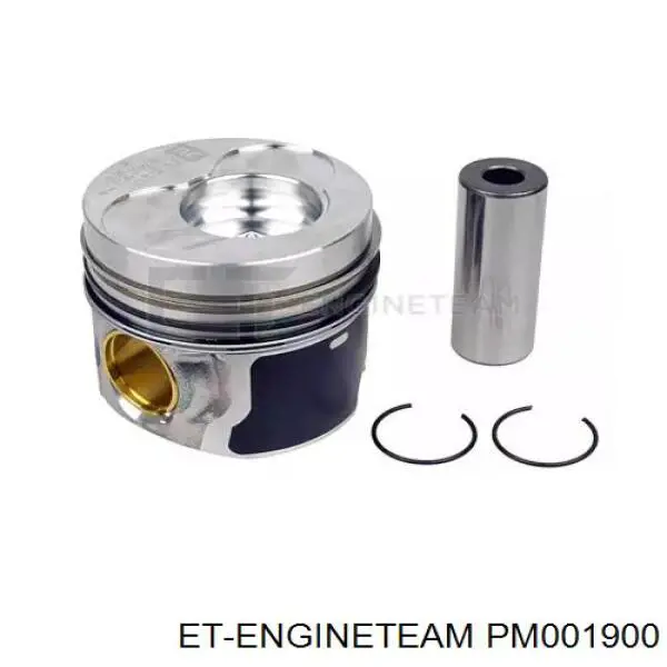 Tłok, komplet do jednego cylindru, STD Mahle Original 308700 cena, od 143,97 USD