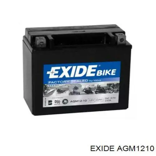 Do koszyka AGM1210 Exide Bateria (akumulator)