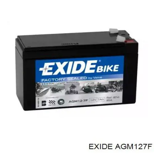 Bateria (akumulator) Exide AGM127F cena, od 55,63 USD