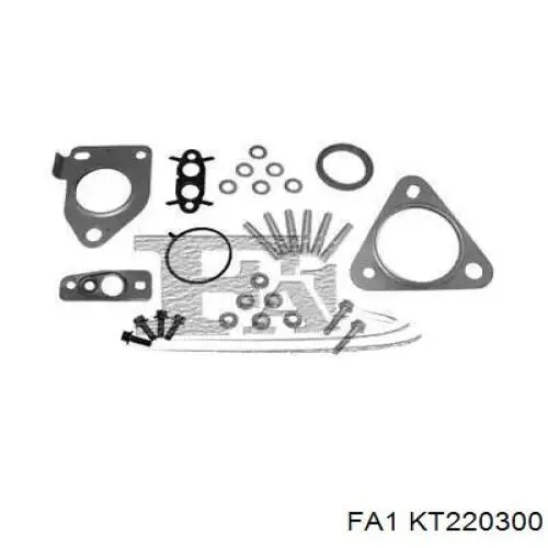 KT220300 FA1 Uszczelka turbiny, zestaw montażowy