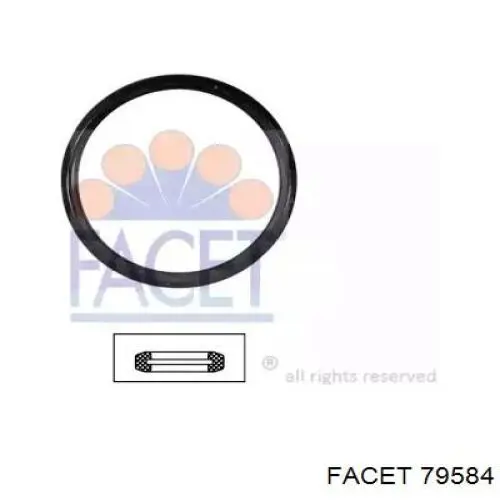 Uszczelka termostatu Facet 79584 cena, od 3,38 USD