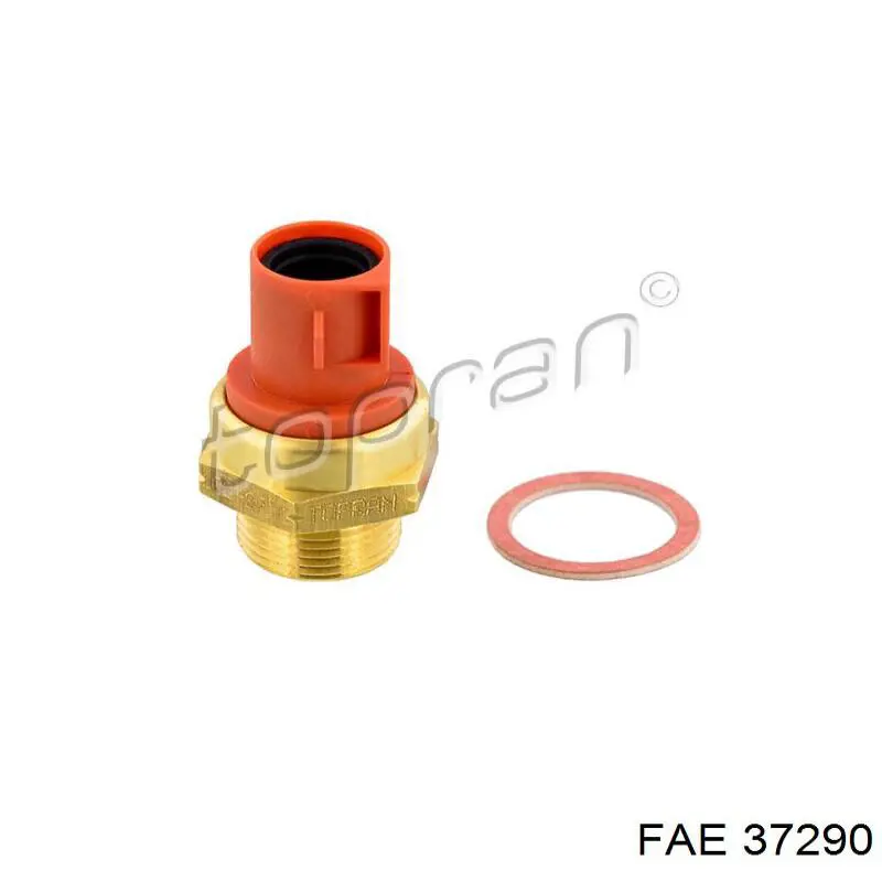 Do koszyka 37290 FAE Czujnik temperatury płynu chłodzącego (włączenia wentylatora chłodnicy)