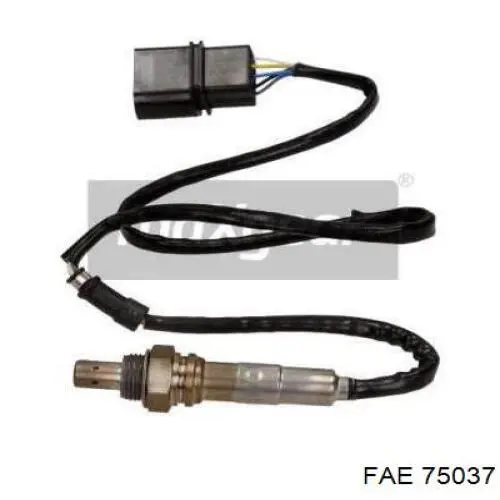 Sonda lambda czujnik tlenu przed katalizatorem FAE 75037 cena, od 81,16 USD