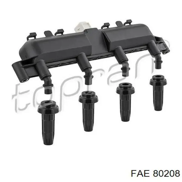 Cewka zapłonowa FAE 80208 cena, od 49,78 USD