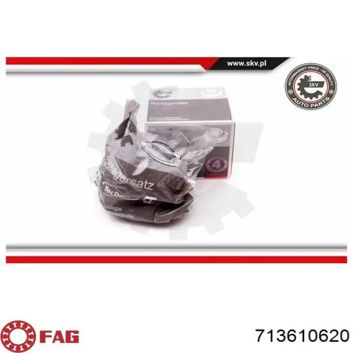 Do koszyka 713610620 FAG Piasta tylna