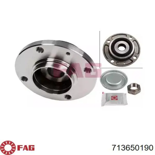 Do koszyka BK492 Delphi Piasta tylna