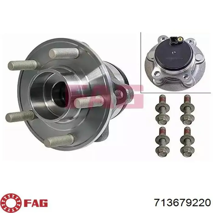 Piasta tylna Ford DG9C2C299B2B cena, od 69,29 USD