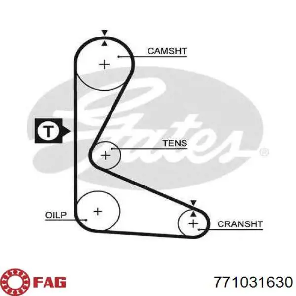 Przegub homokinetyczny przedni zewnętrzny FAG 771031630 cena, od 34,58 USD