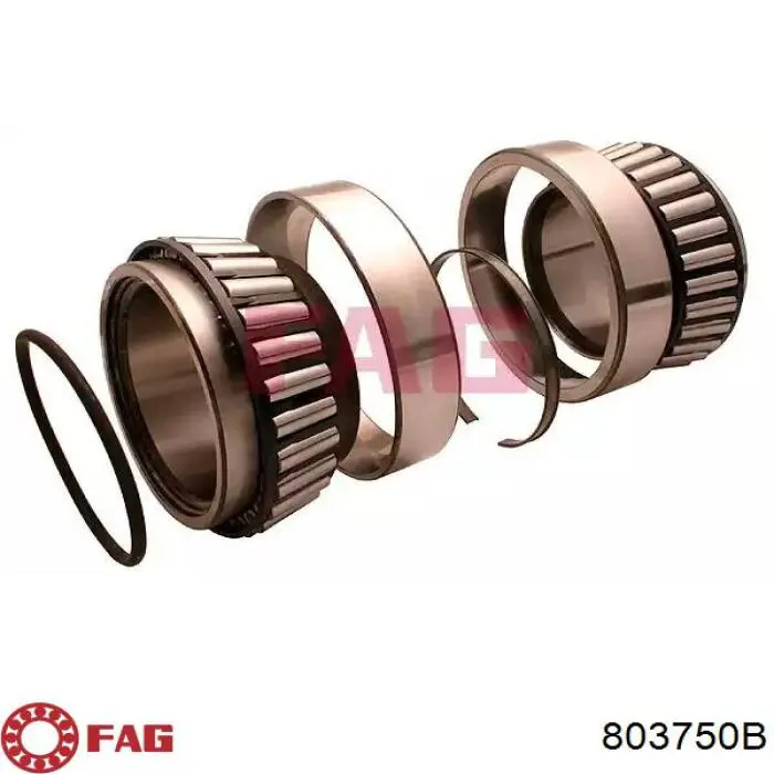 Lożysko piasty tylnej FAG 803750B cena, od 238,87 USD