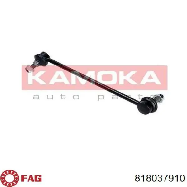 Do koszyka 818037910 FAG Łącznik stabilizatora przedniego prawy