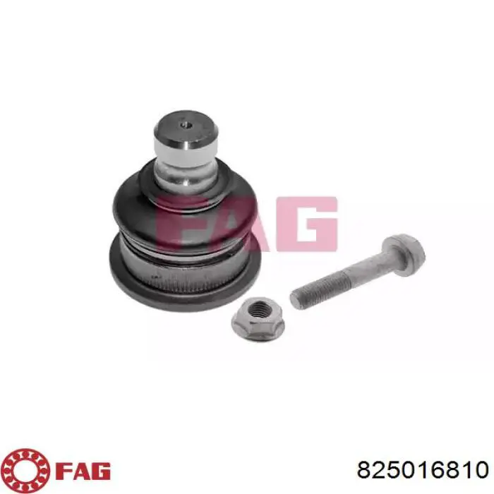 Sworzeń wahacza dolny FAG 825016810 cena, od 12,53 USD