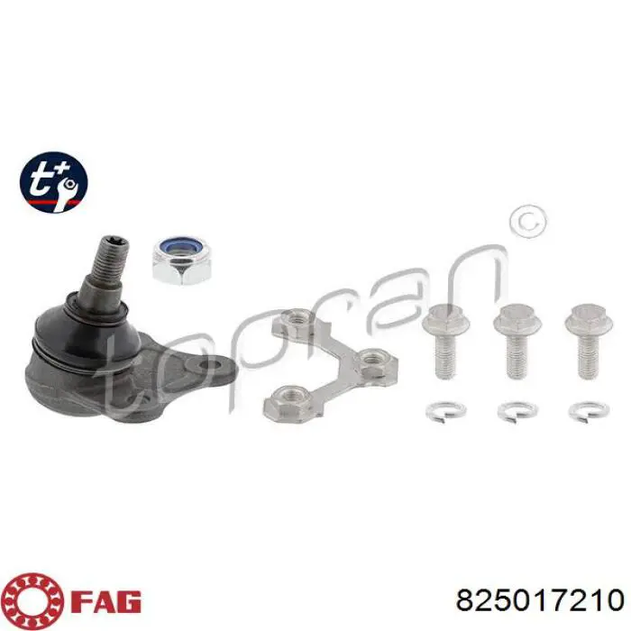 Sworzeń wahacza dolny lewy FAG 825017210 cena, od 15,09 USD