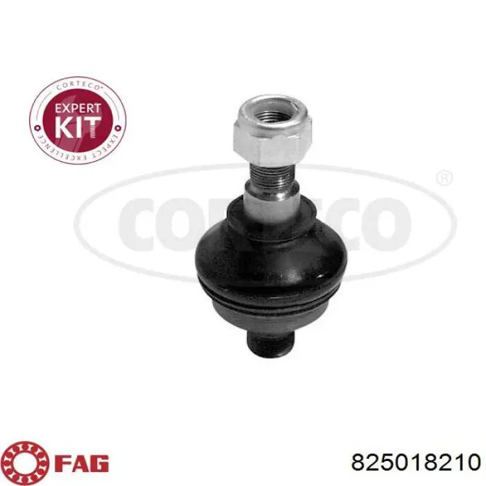 Sworzeń wahacza dolny FAG 825018210 cena, od 17,18 USD