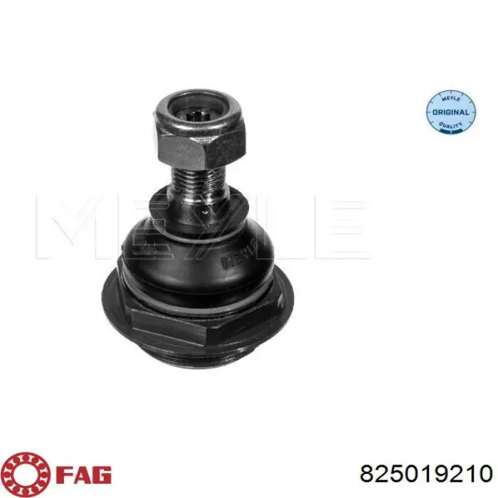 Sworzeń wahacza dolny FAG 825019210 cena, od 14,34 USD