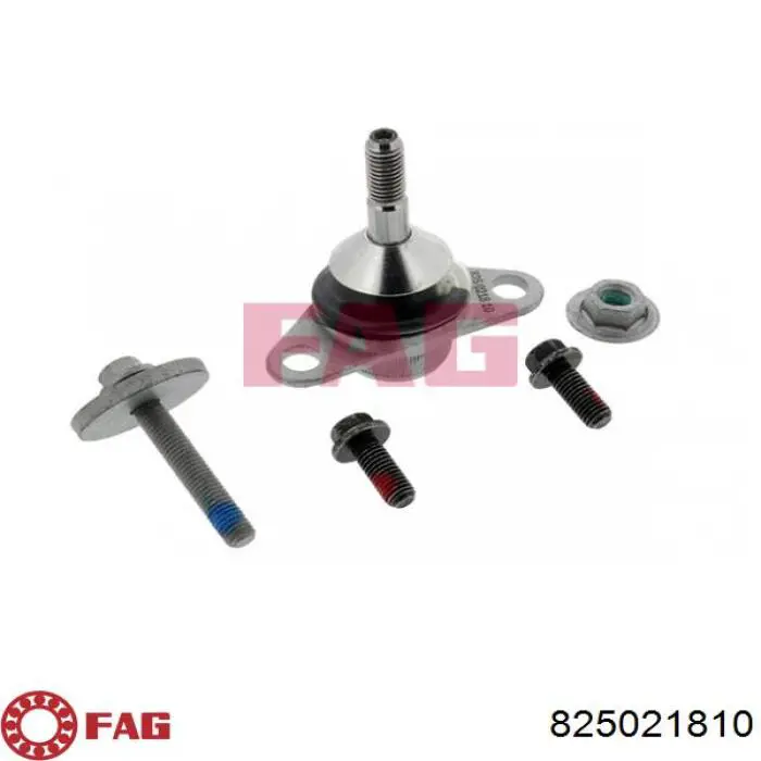 Sworzeń wahacza dolny FAG 825021810 cena, od 16,92 USD