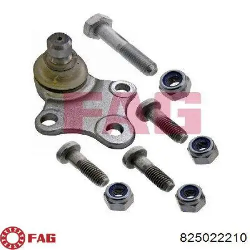 Sworzeń wahacza dolny FAG 825022210 cena, od 13,43 USD