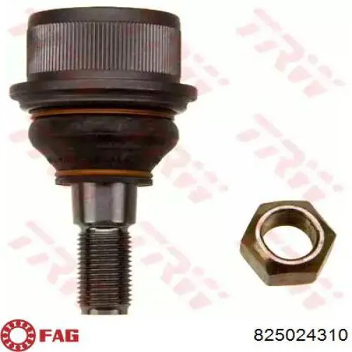 Sworzeń wahacza górny FAG 825024310 cena, od 16,77 USD