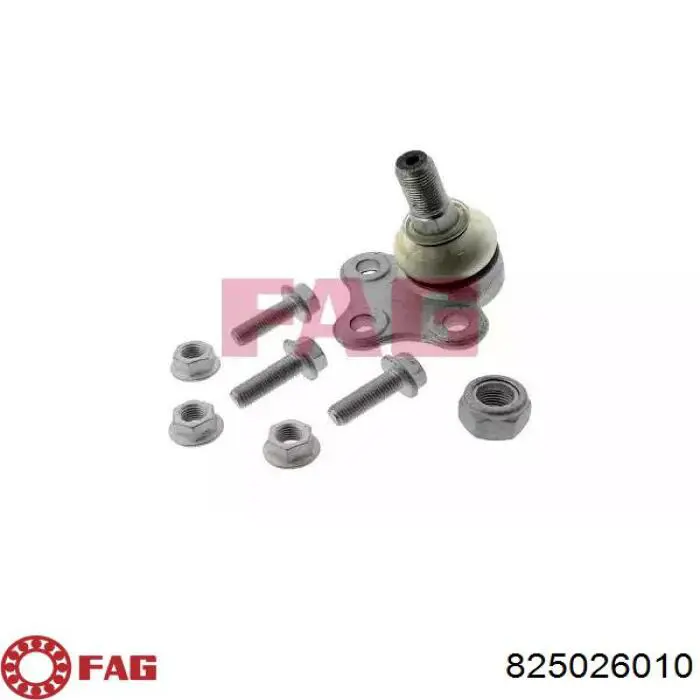 825026010 FAG Sworzeń wahacza dolny