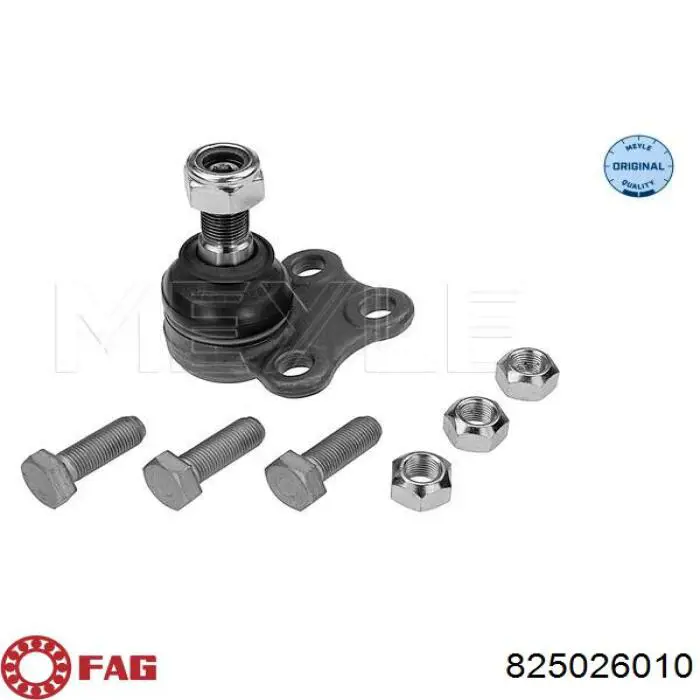 Do koszyka 825026010 FAG Sworzeń wahacza dolny