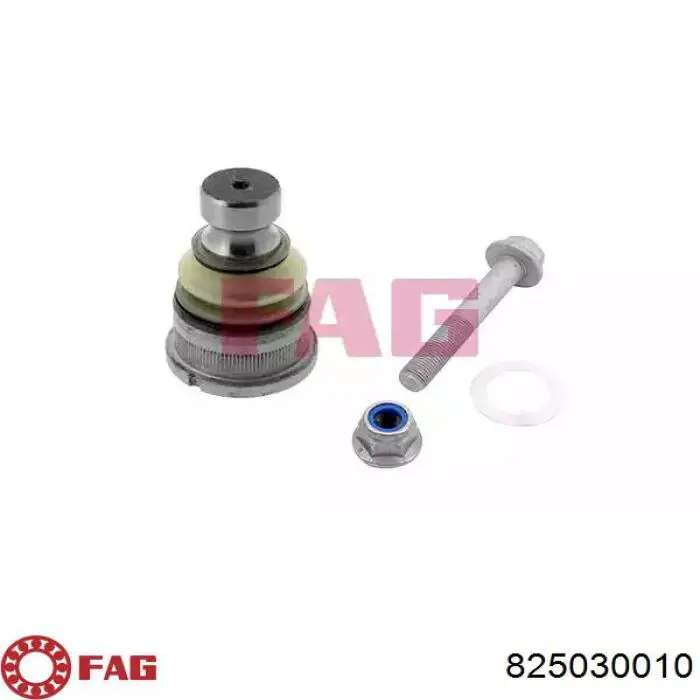 825030010 FAG Sworzeń wahacza dolny