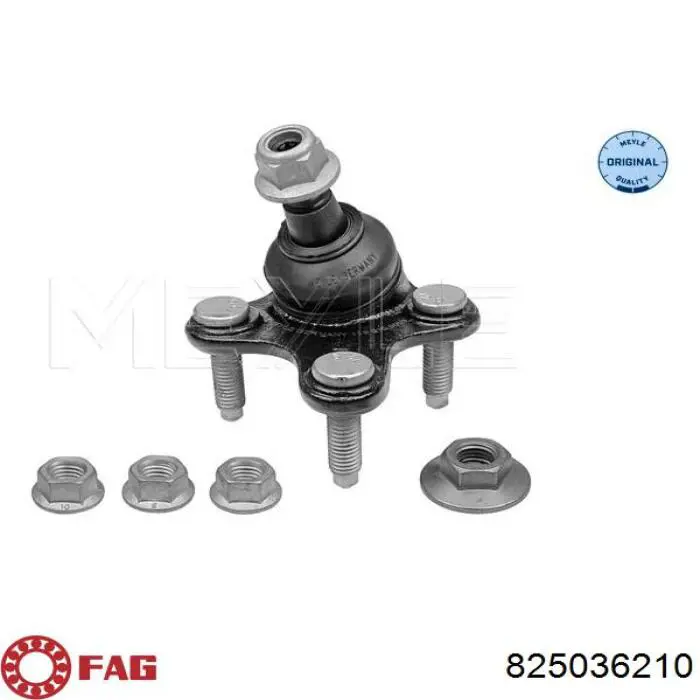Sworzeń wahacza dolny lewy FAG 825036210 cena, od 14,66 USD