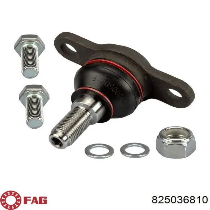 Sworzeń wahacza dolny FAG 825036810 cena, od 15,09 USD