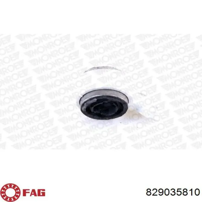  FAG 829035810