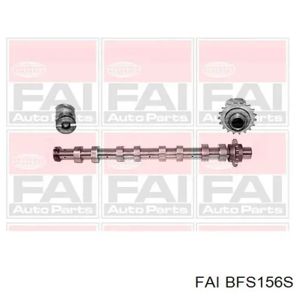 Do koszyka BFS156S FAI Kompensator hydrauliczny (popychacz hydrauliczny), popychacz zaworu